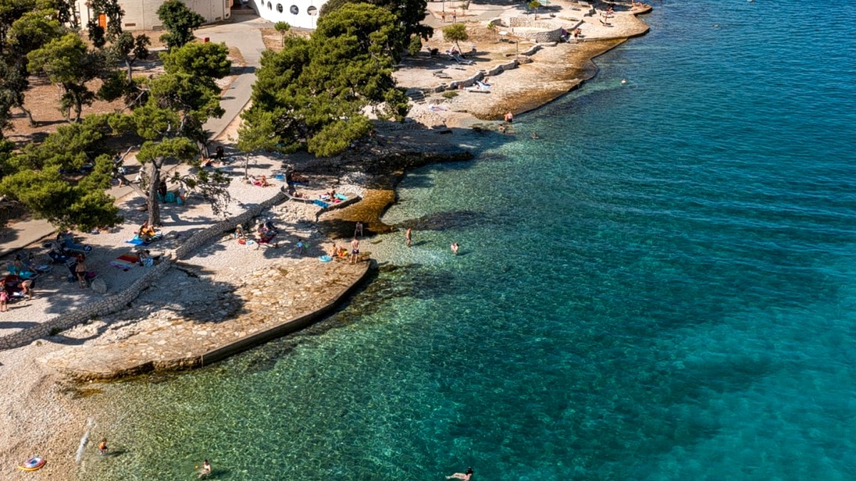 Aerial view of the Punta Skala peninsula at Petrčane, with Aleppo pine trees over the curving pebbly shoreline and swimmers in the clear Adriatic water below